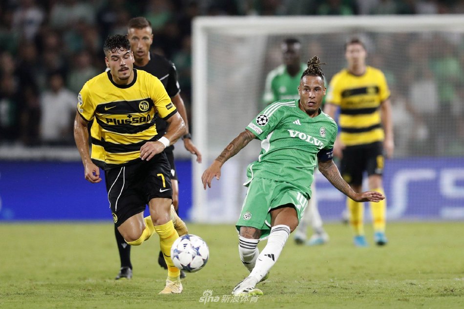 定意志的闪 定意志的闪